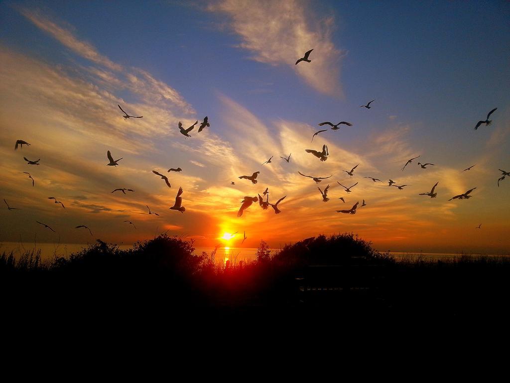 Sunset Guest House Хънстантън Екстериор снимка Sunset at the beach