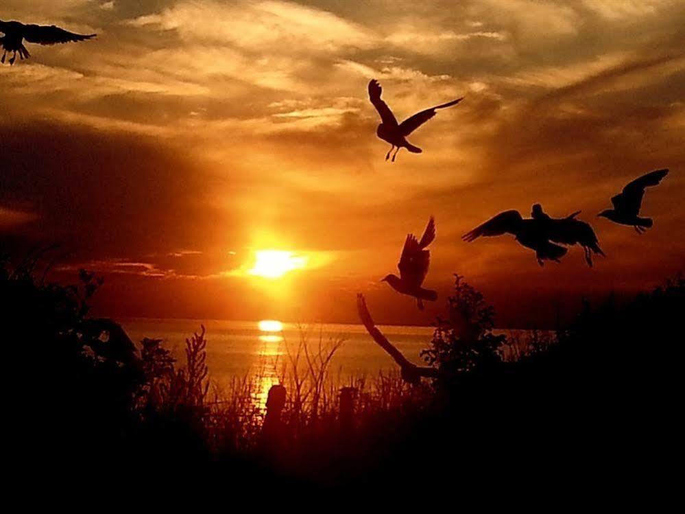 Sunset Guest House Хънстантън Екстериор снимка Sunset at the beach
